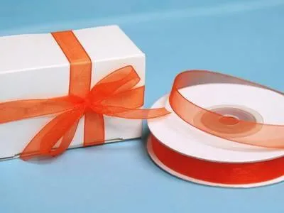 25 Yard 3/8"DIY Orange Organza Ribbon With Satin Edges For Craft Dress Wedding