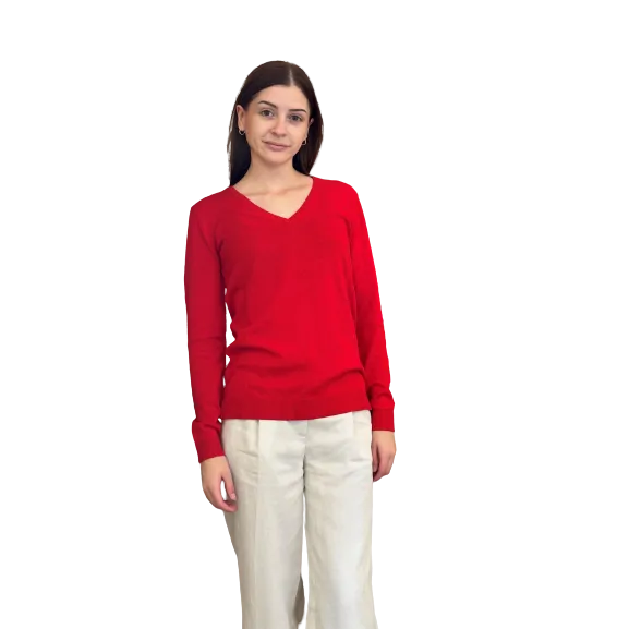 BALDASSARE V NECK SWEATER