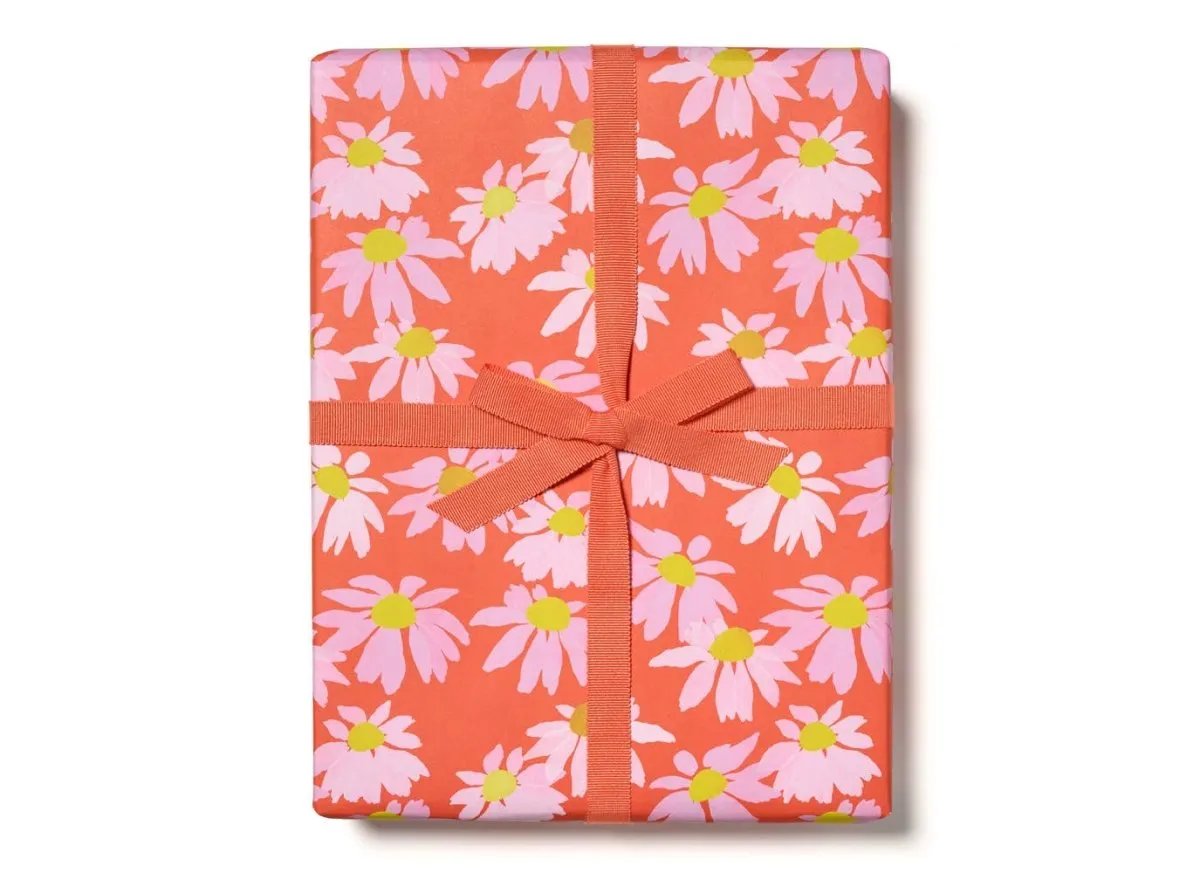 Gift Wrap: The House that Lars Built - Coneflower (Roll of 3 Sheets)