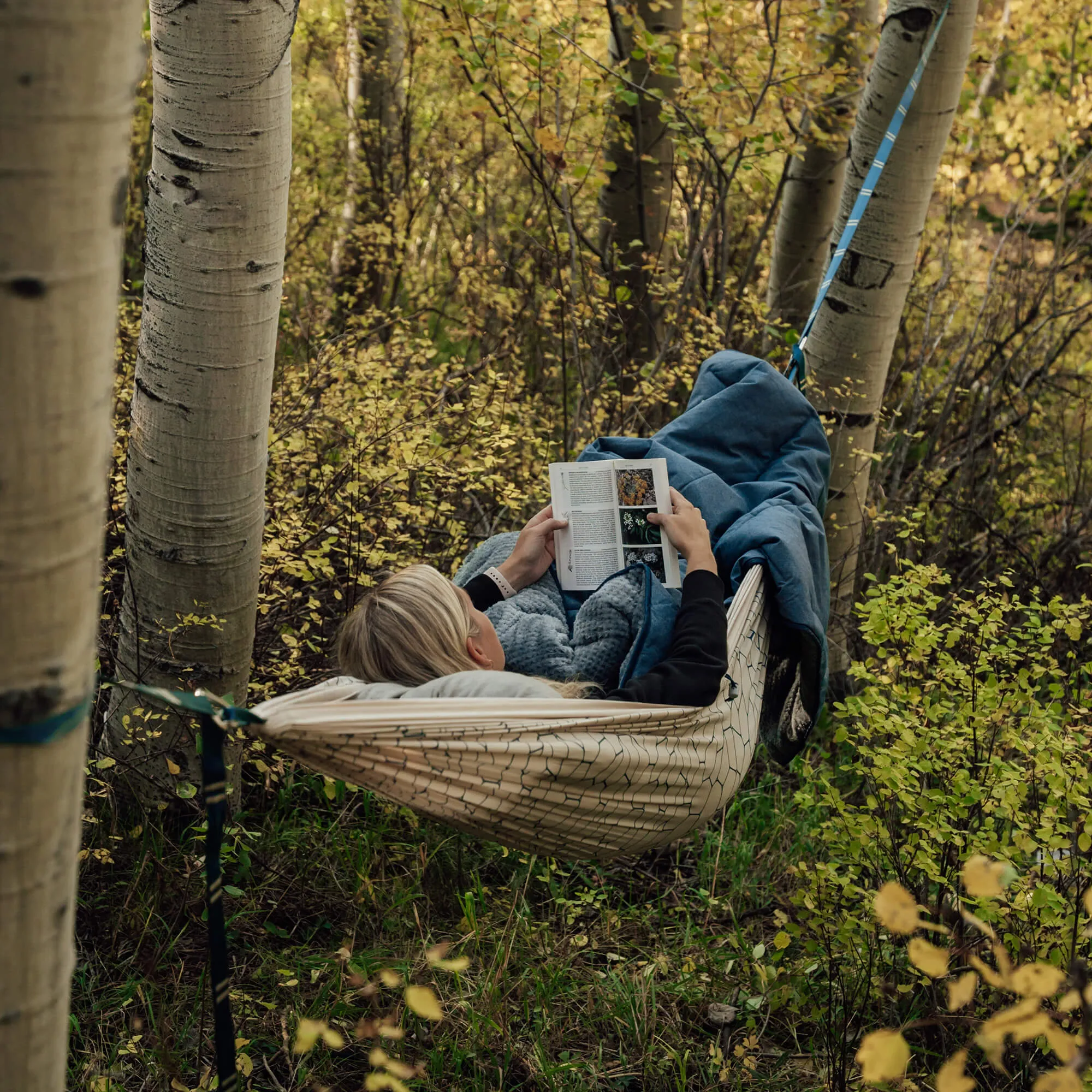 Homestead Cabin Comforter Blanket